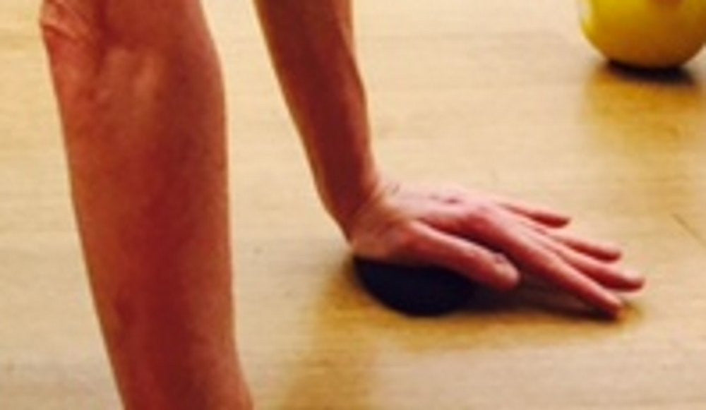 Big Josh's Extraordinary Yoga Exercise Hand Pads (Pair) Brings